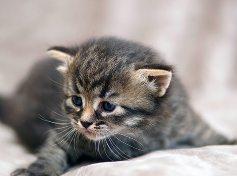 Sophia am 25. Mai 2019